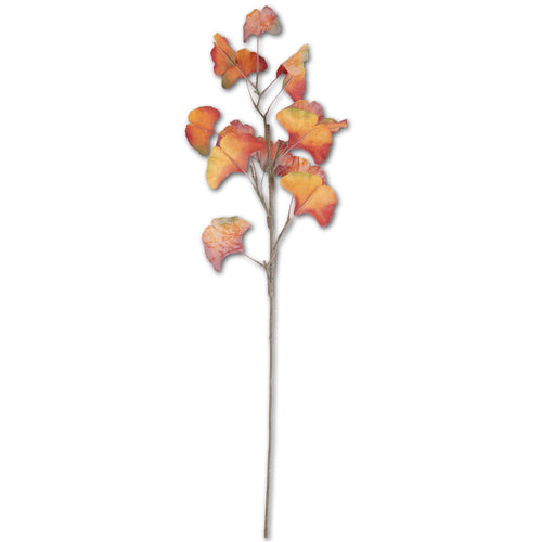 Orange Gingko Stem