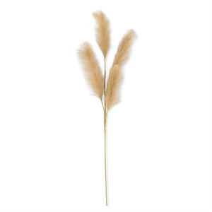 Soft Grass Stem