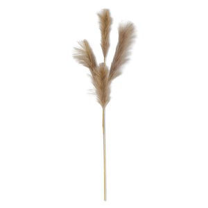 Soft Grass Stem