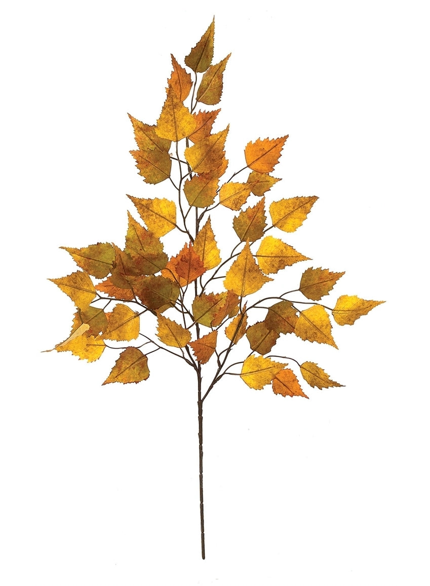 Birch Spray