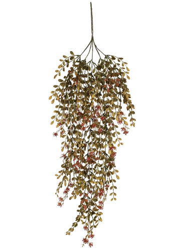 Boxwood Berry Vine