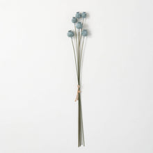 Load image into Gallery viewer, Poppy Pod Spray