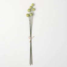 Load image into Gallery viewer, Poppy Pod Spray