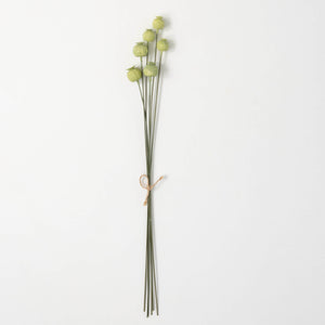 Poppy Pod Spray