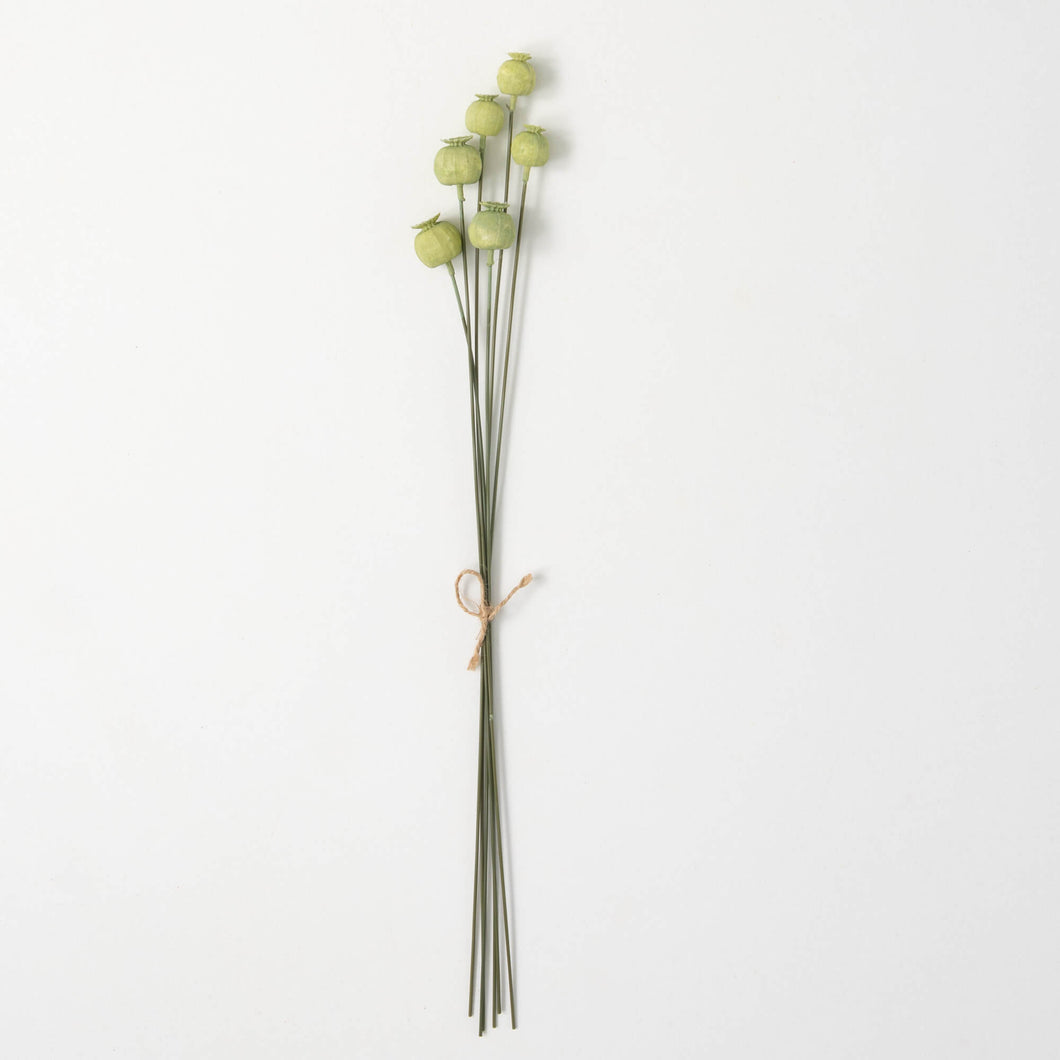 Poppy Pod Spray