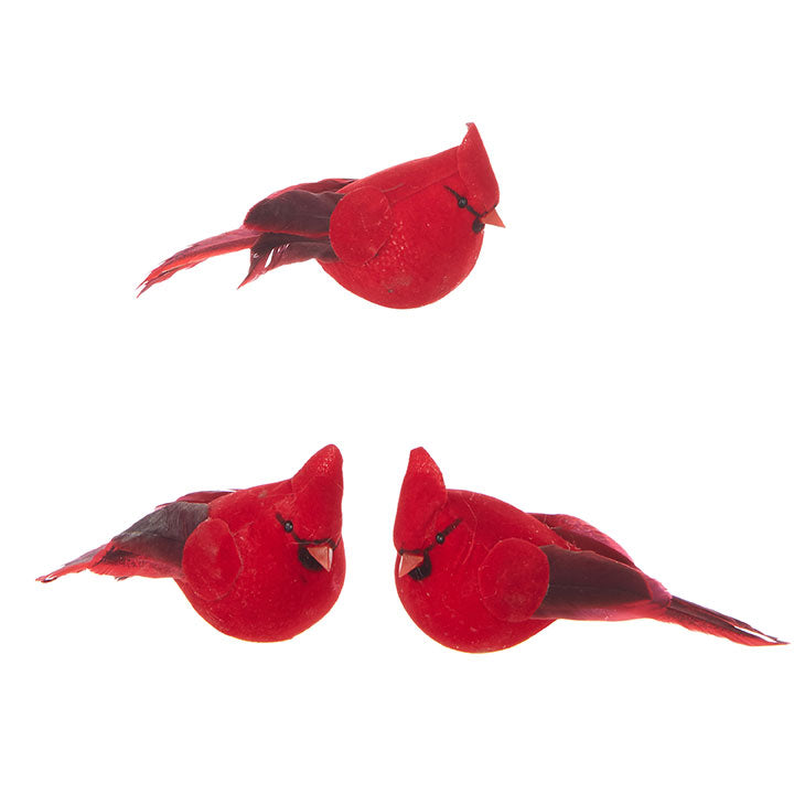 Cardinal