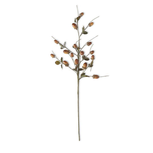Acorn Spray