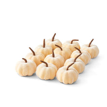 Load image into Gallery viewer, Velvet Pumpkin
