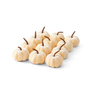 Velvet Pumpkin