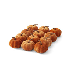 Load image into Gallery viewer, Velvet Pumpkin