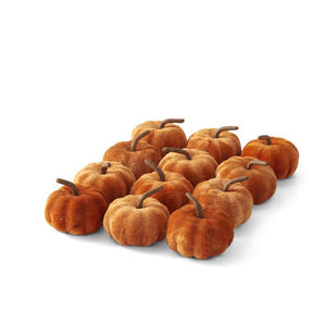 Velvet Pumpkin