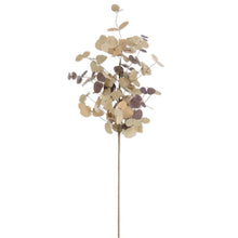 Load image into Gallery viewer, Two-Tone Eucalyptus Stem