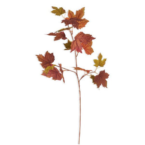 Maple Leaf Stem