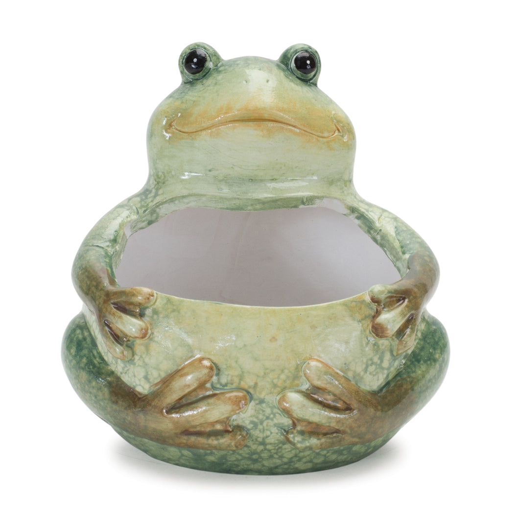Frog Planter