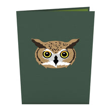 Load image into Gallery viewer, Horned Owl