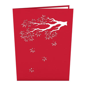 Japanese Maple Card