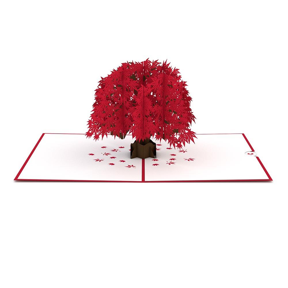 Japanese Maple Card