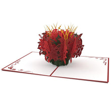 Load image into Gallery viewer, Poinsettia