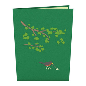 Robin Card