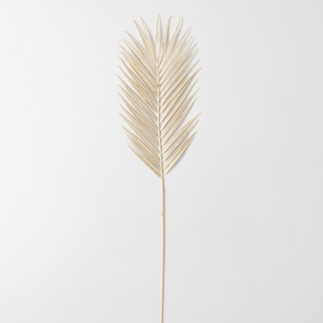 Cream Fern Spray