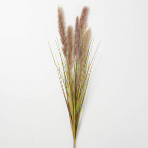 Foxtail Spray