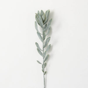 Green Protea Spray
