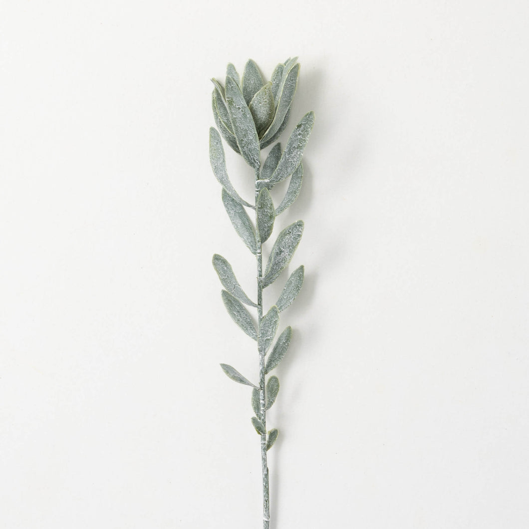 Green Protea Spray