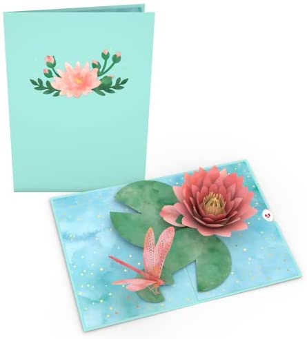 Water Lily Card