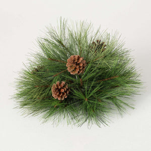 Pine Orb