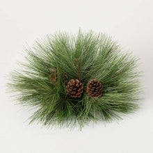 Load image into Gallery viewer, Pine Orb