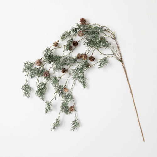 Hanging Pine w Cone