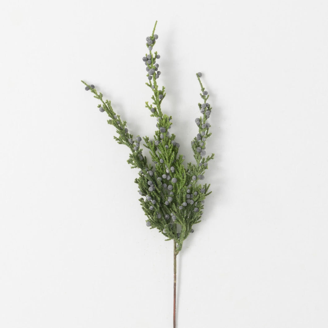 Blue Juniper Spray