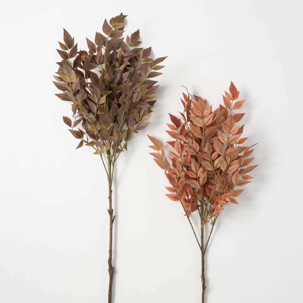 Nandina Stem